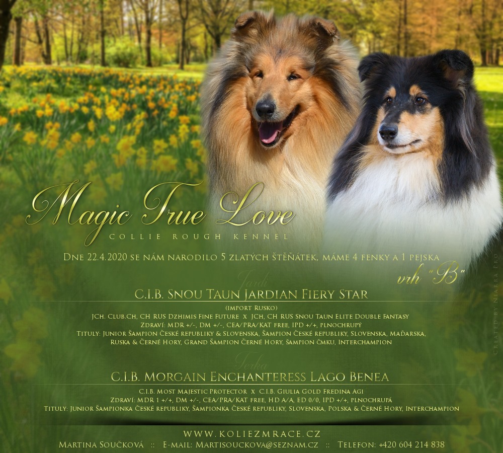 vrh b magic true love letacek