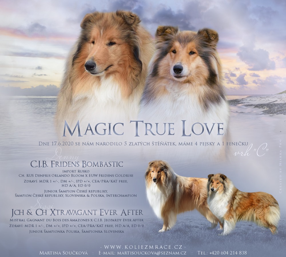 vrh c magic true love