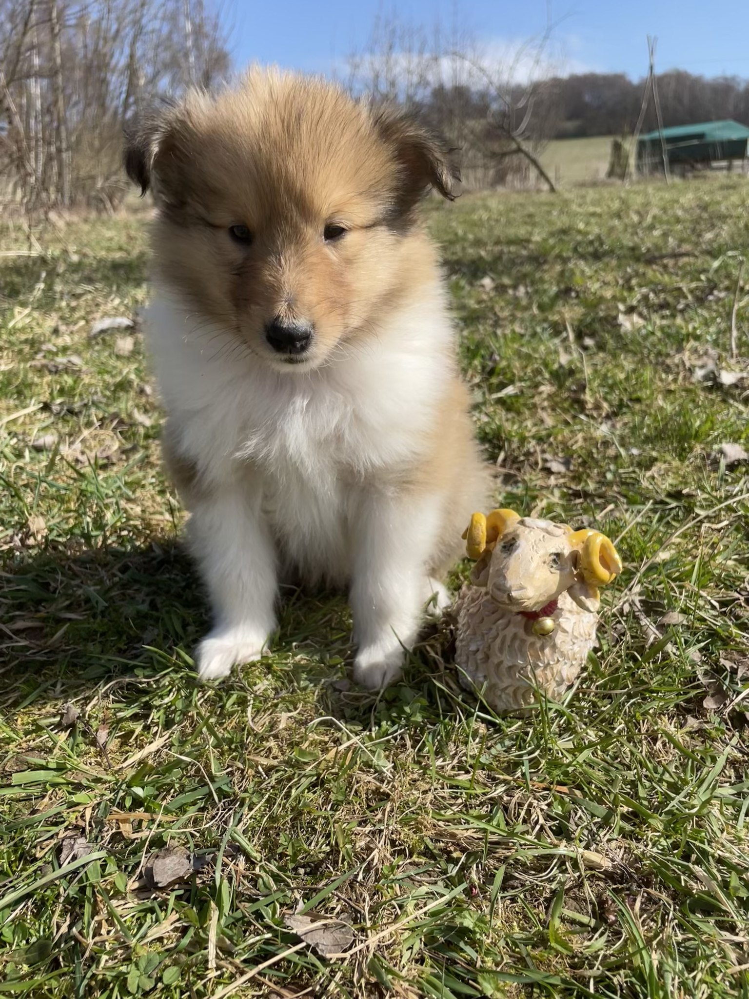 Charismatic Charlie MTL