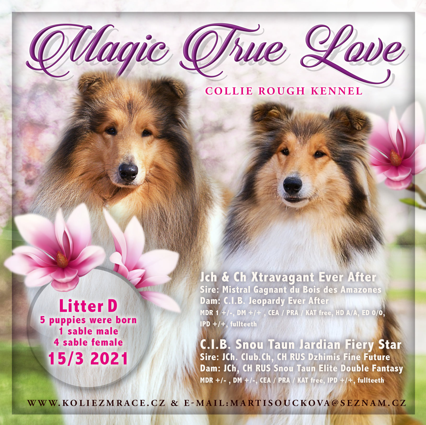 vrh d magic true love
